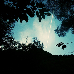 国产成AV人片在线观看天堂无码
